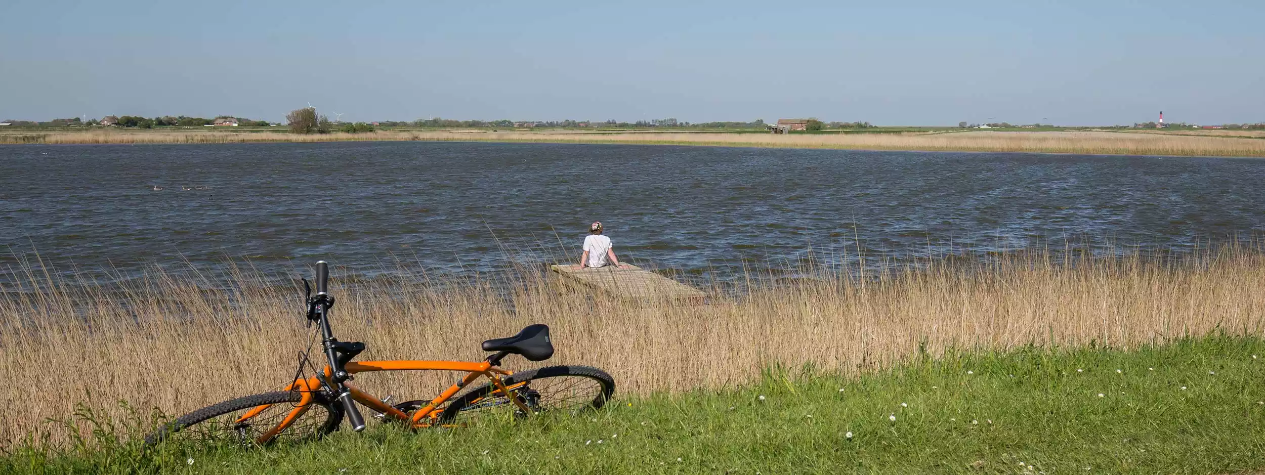 Fahrrad im Gras am See mit Leuchtturm im Hintergrund