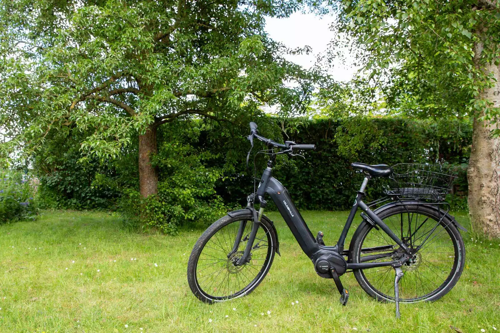 Schwarzes Pedelec gehobenes Rad auf Pellworm – Premium-E-Bike mit Bosch-Motor im Grünen