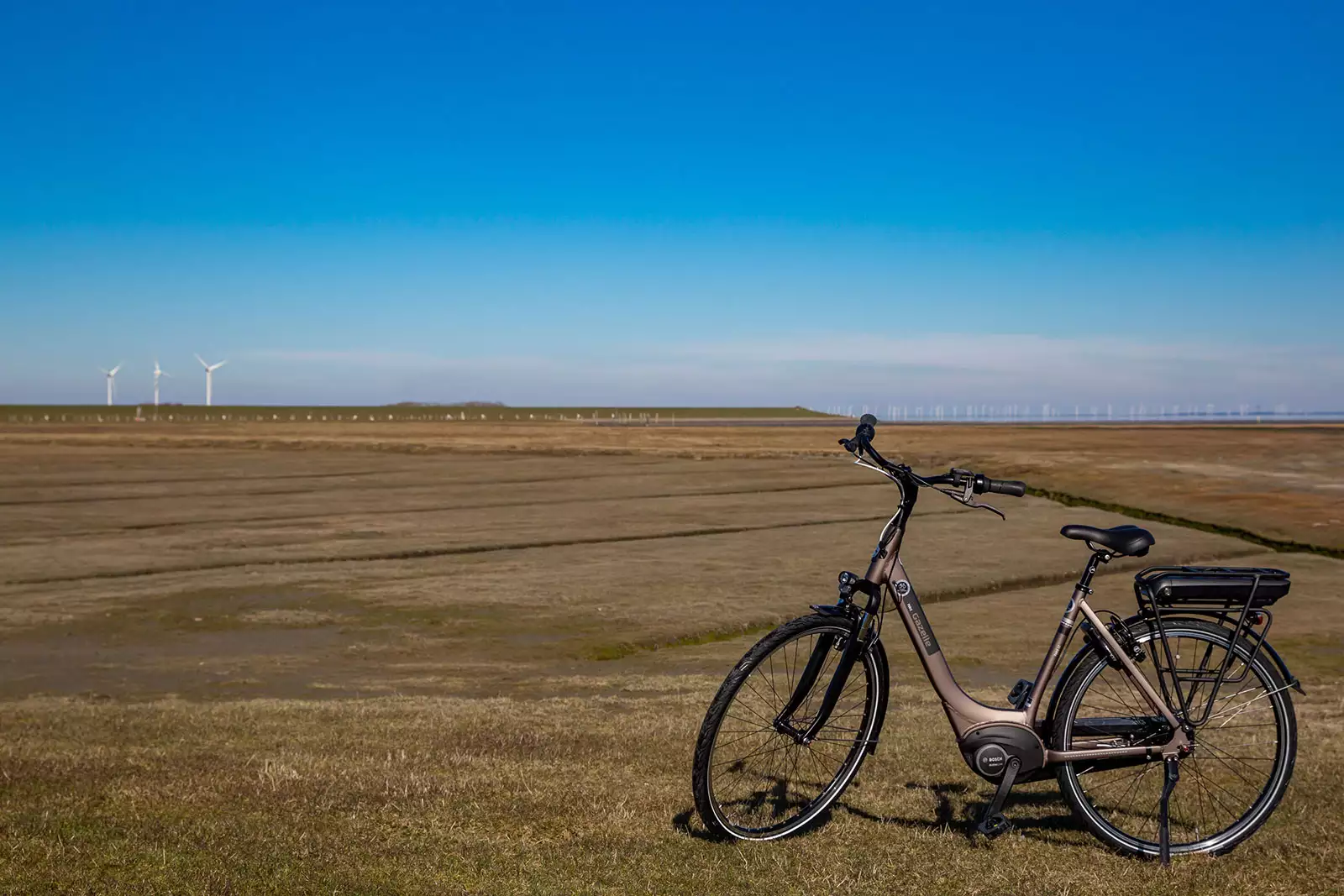 Pedelec Standard auf Pellworm – E-Bike vor weiter Marschlandschaft mit Windrädern